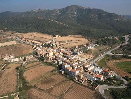 La Joncosa del Montmell